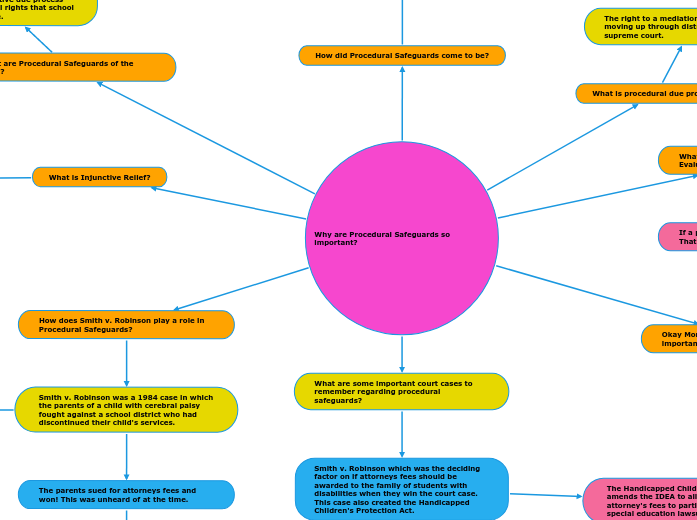 Why are Procedural Safeguards so important... Mind Map
